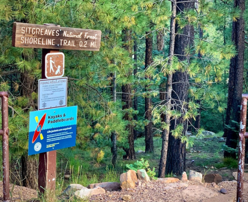 Signpost at Sitgreaves National Forest marking the Shoreline Trail, with regulations for kayaking and paddleboarding.